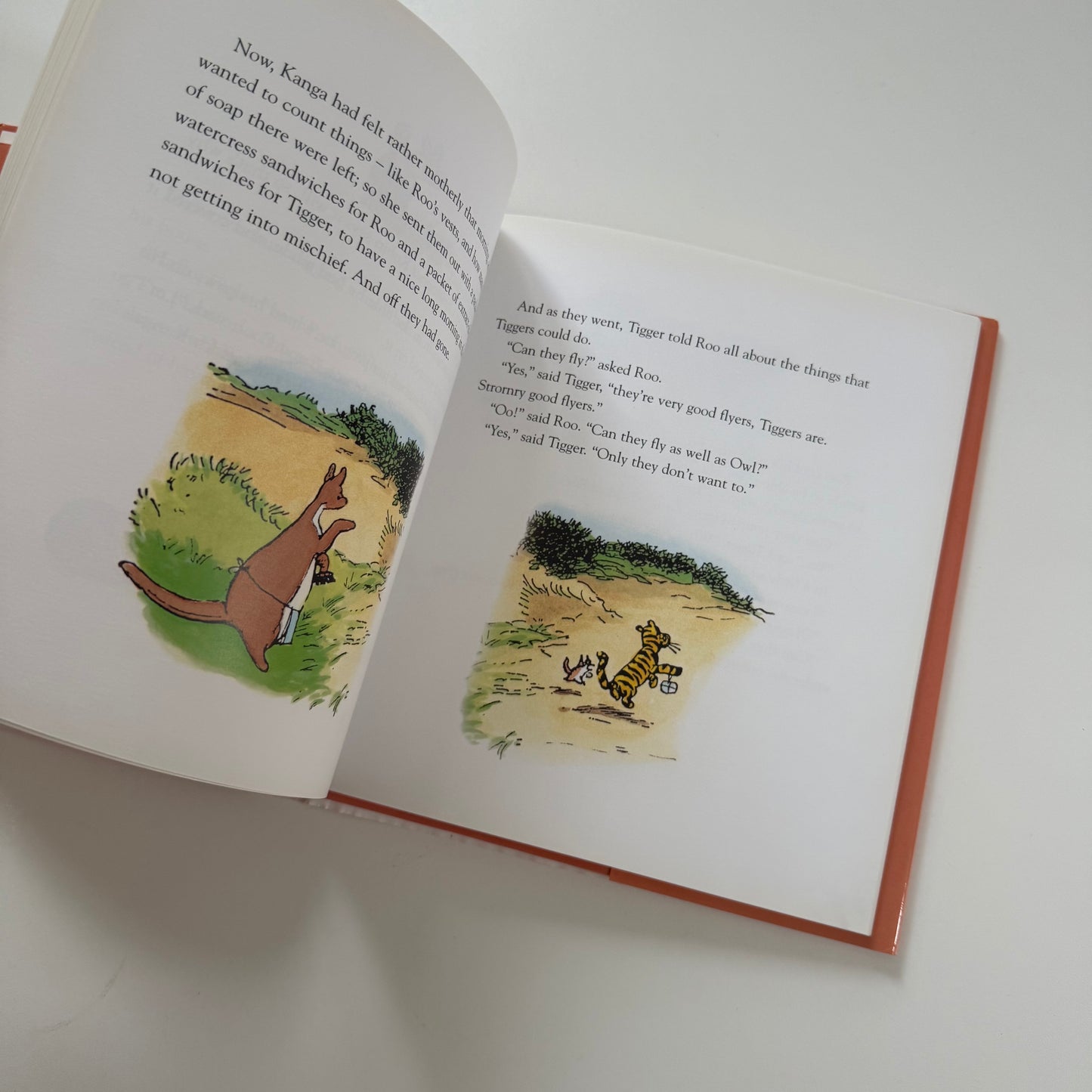 Vintage 2001 tigger book.