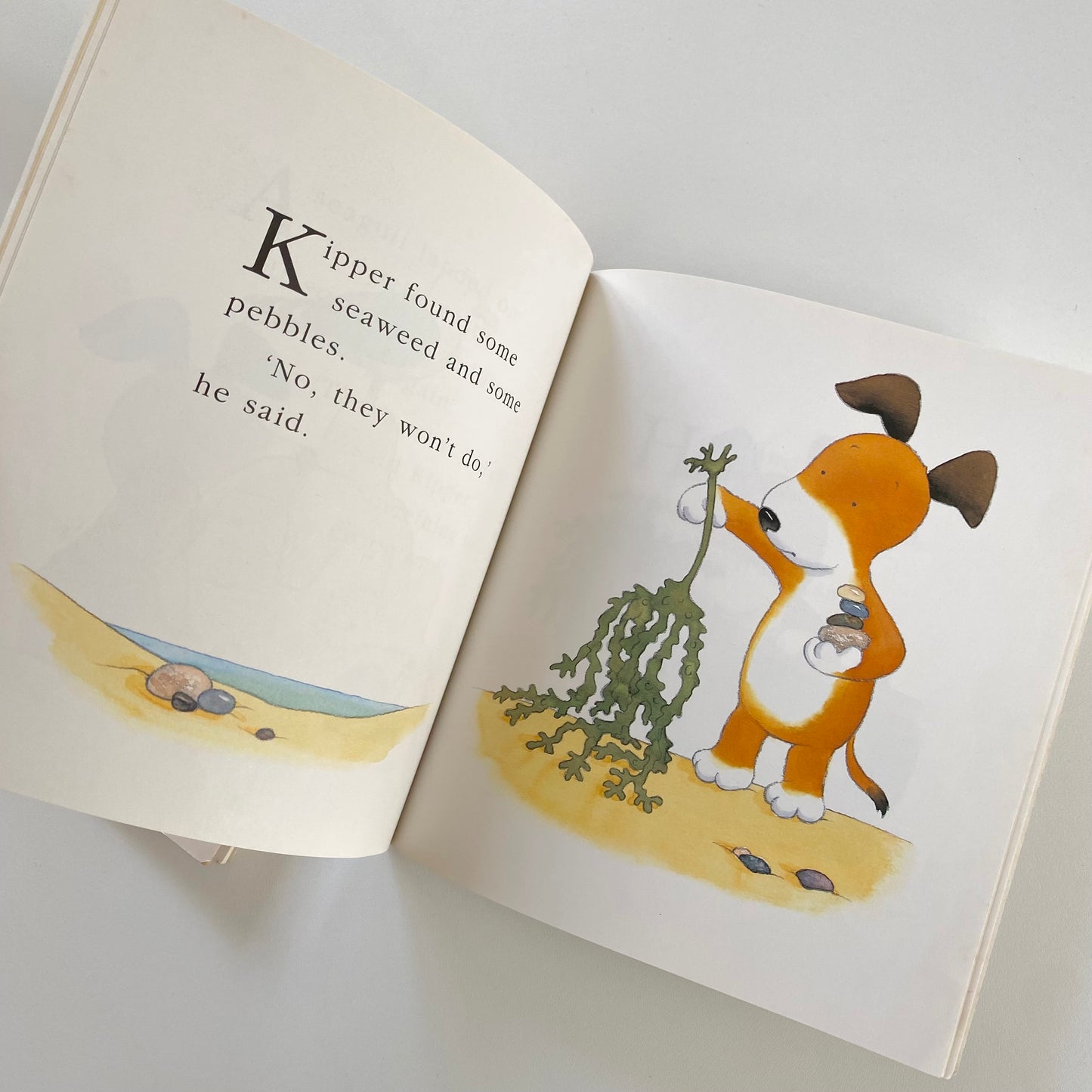 Set of two vintage 1998 kipper books