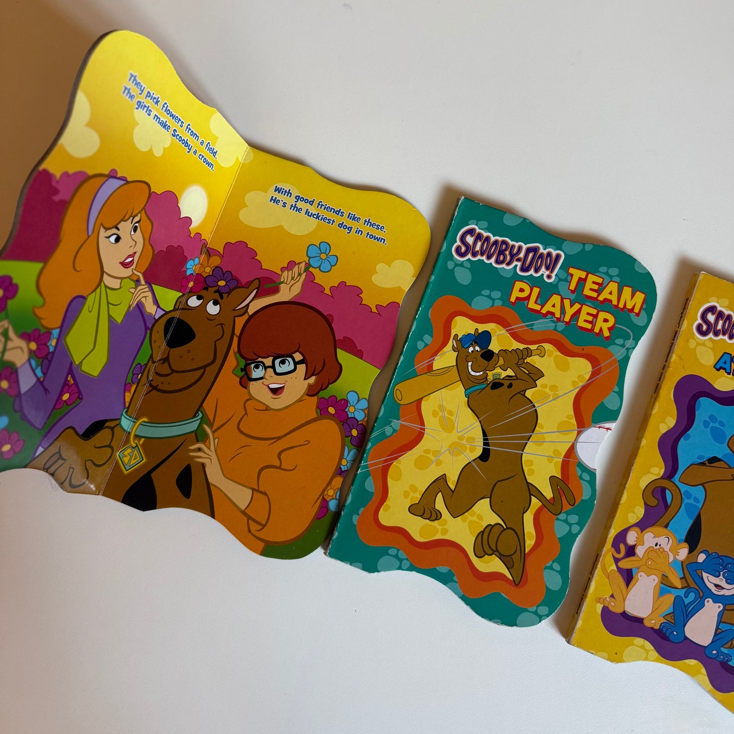 Set of 3 2010 scooby doo books