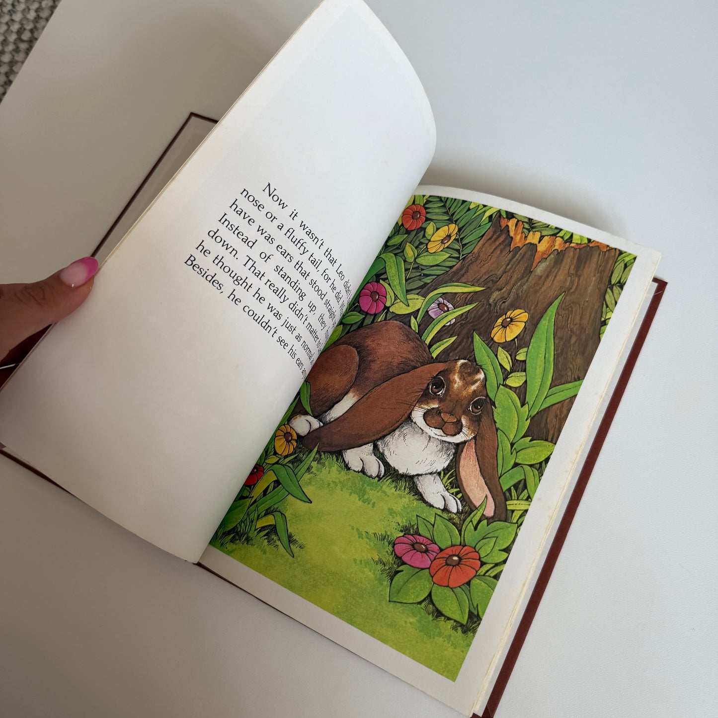 Vintage 1977 leo the lop book.