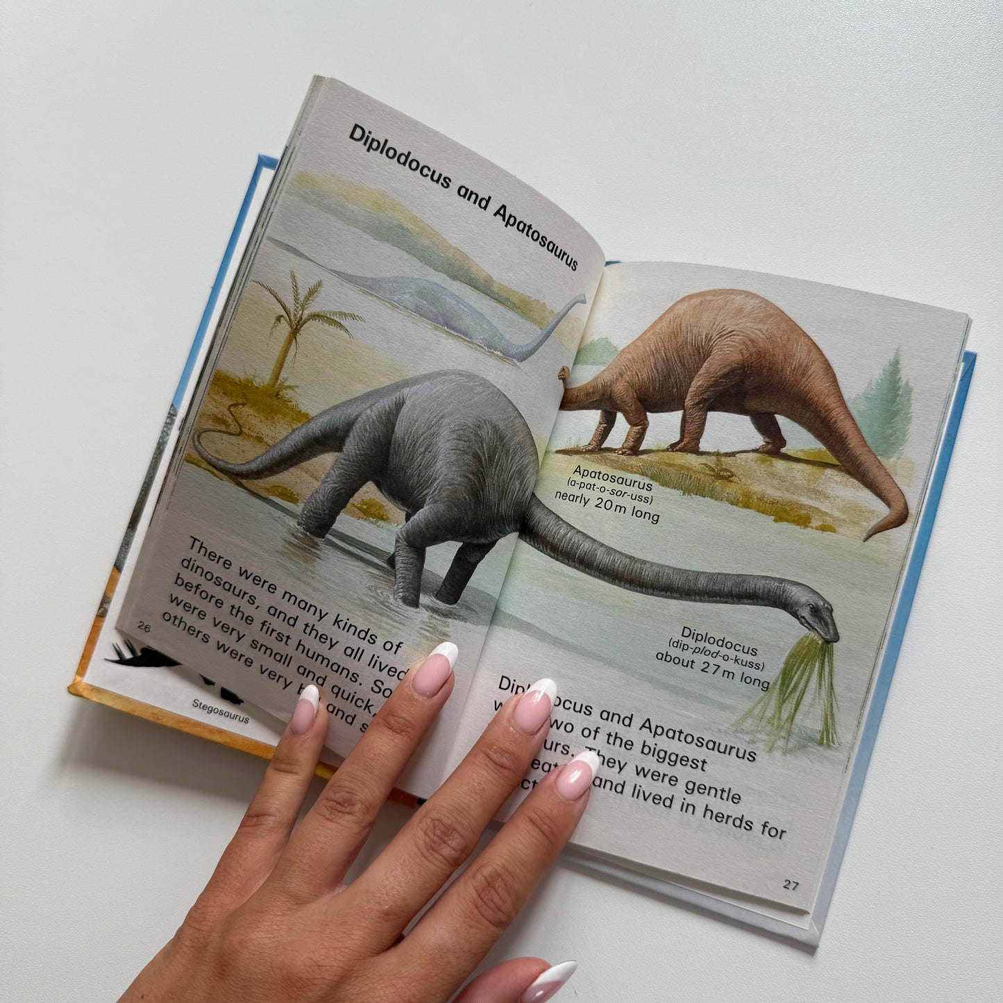 Vintage 1988 ladybird dinosaur book