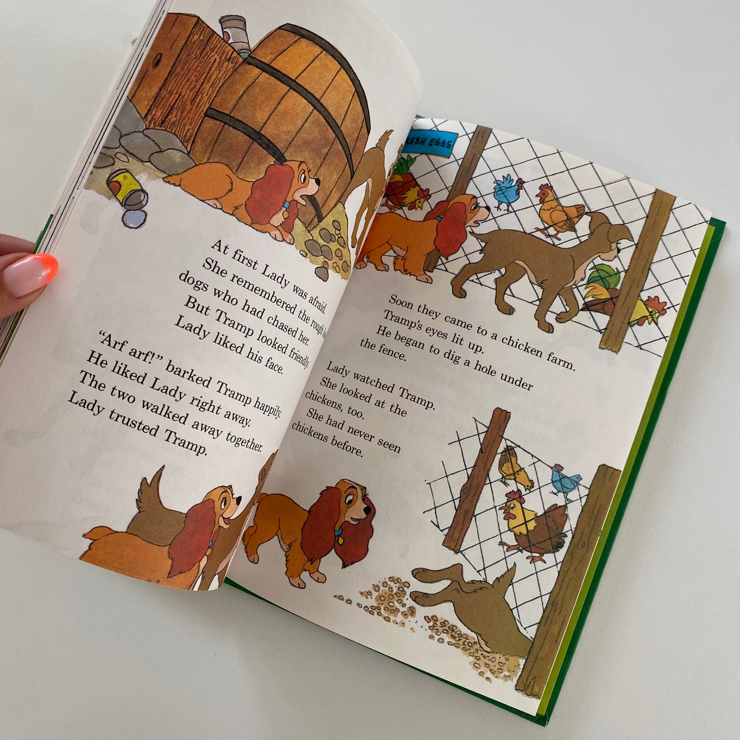 Vintage first edition 1981 lady and the tramp book.