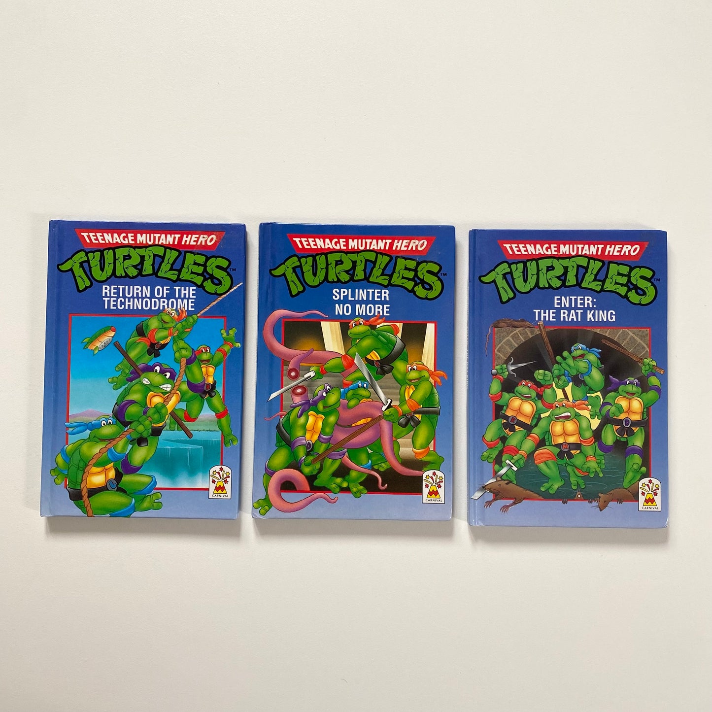 Vintage set of three turtles books.