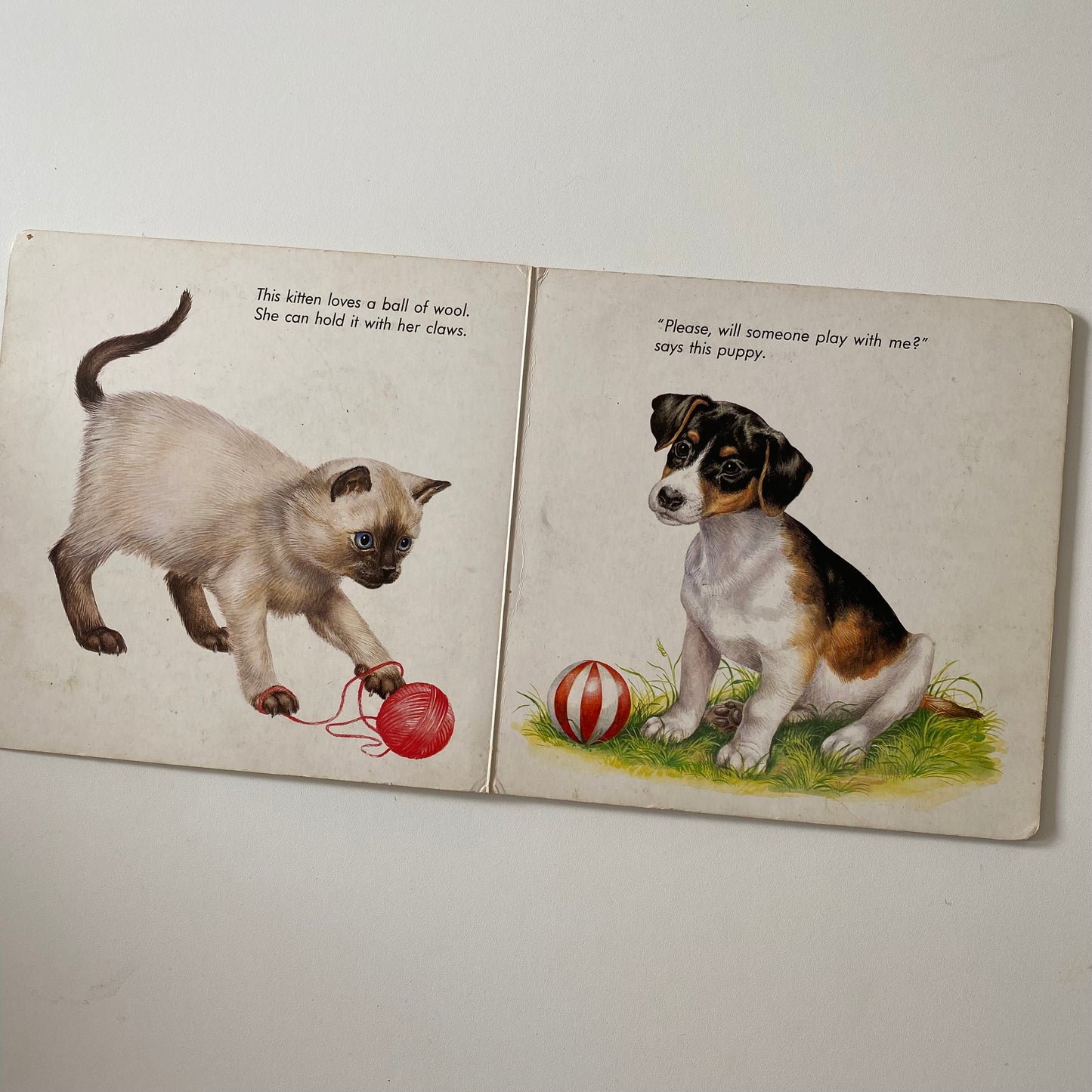 Vintage 1982 baby animals book