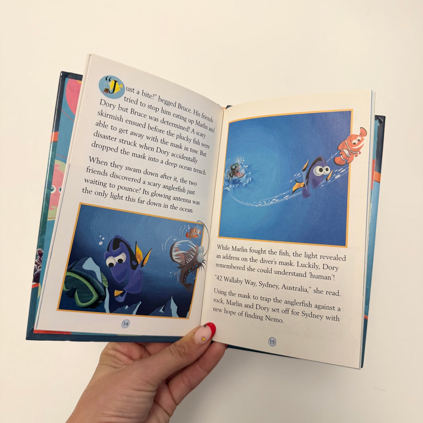 Vintage 2005 nemo book