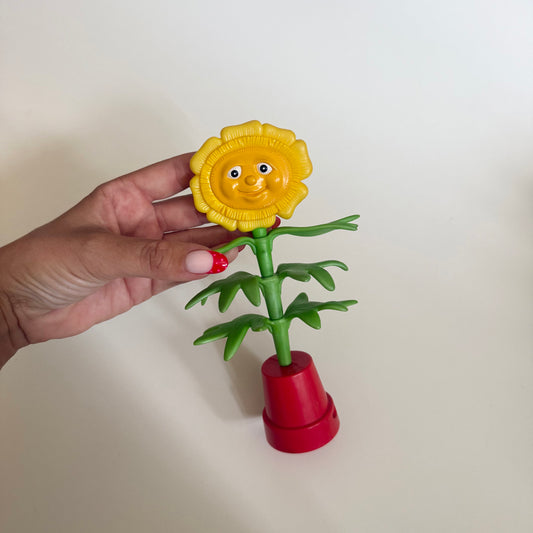 Vintage 2002 McDonald’s bill and Ben sunflower!