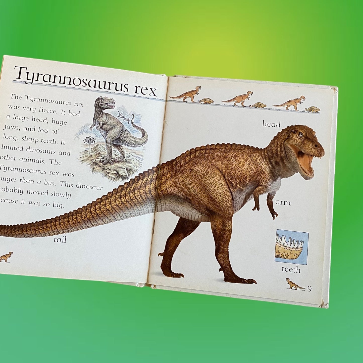 Dinosaur vintage 1991 hardback book