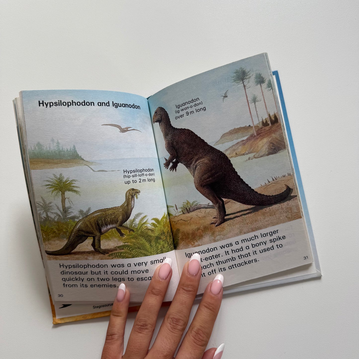 Vintage 1988  ladybird dinosaur book