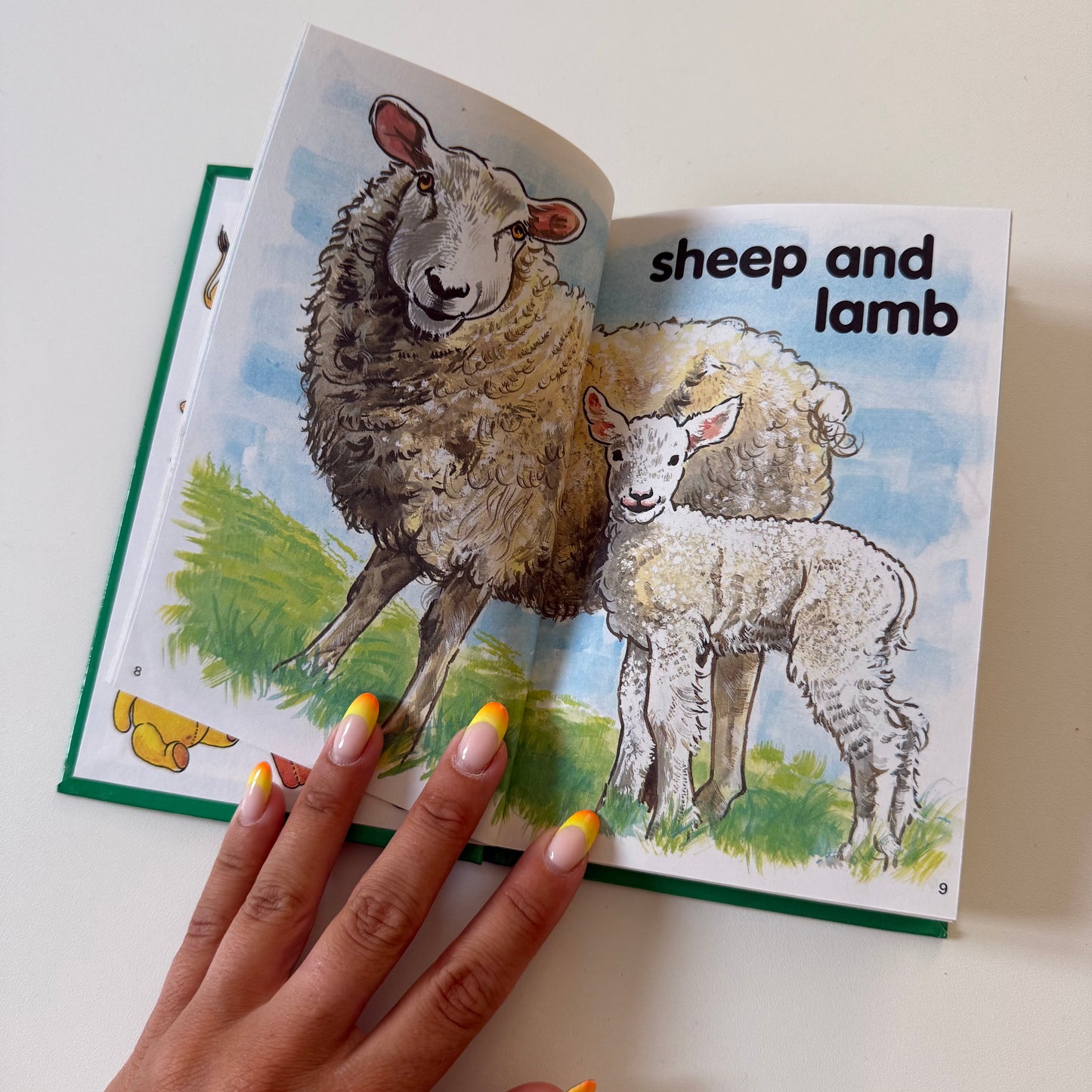 Vintage 1983 ladybird animals book