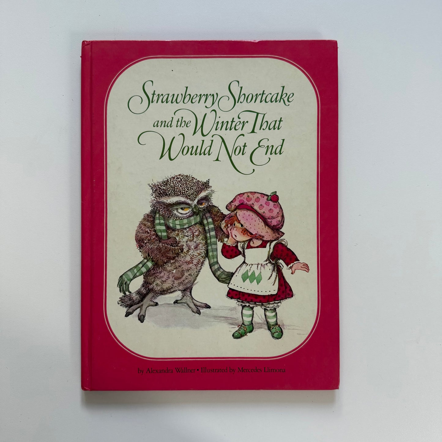 Vintage 1982 strawberry shortcake a4 book.