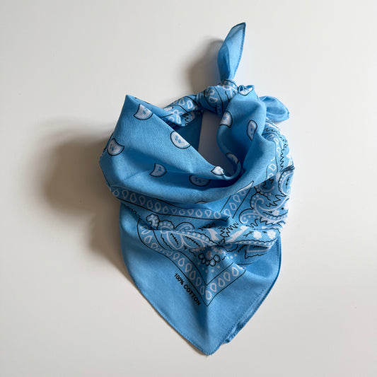 Blue paisley cotton scarf / neckerchief