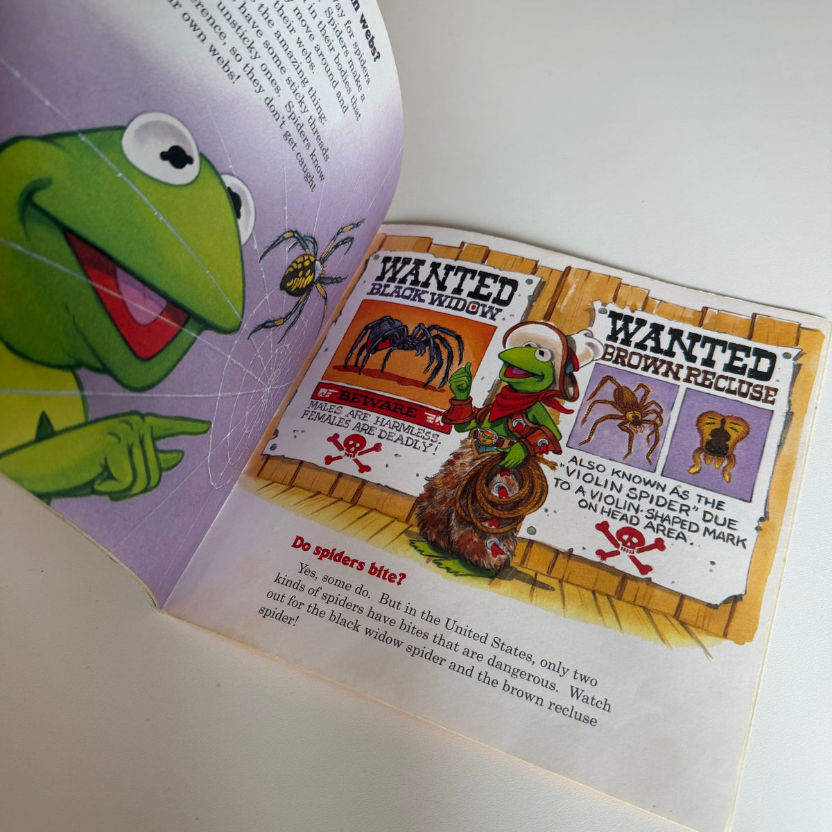 Vintage 1995 muppets book.