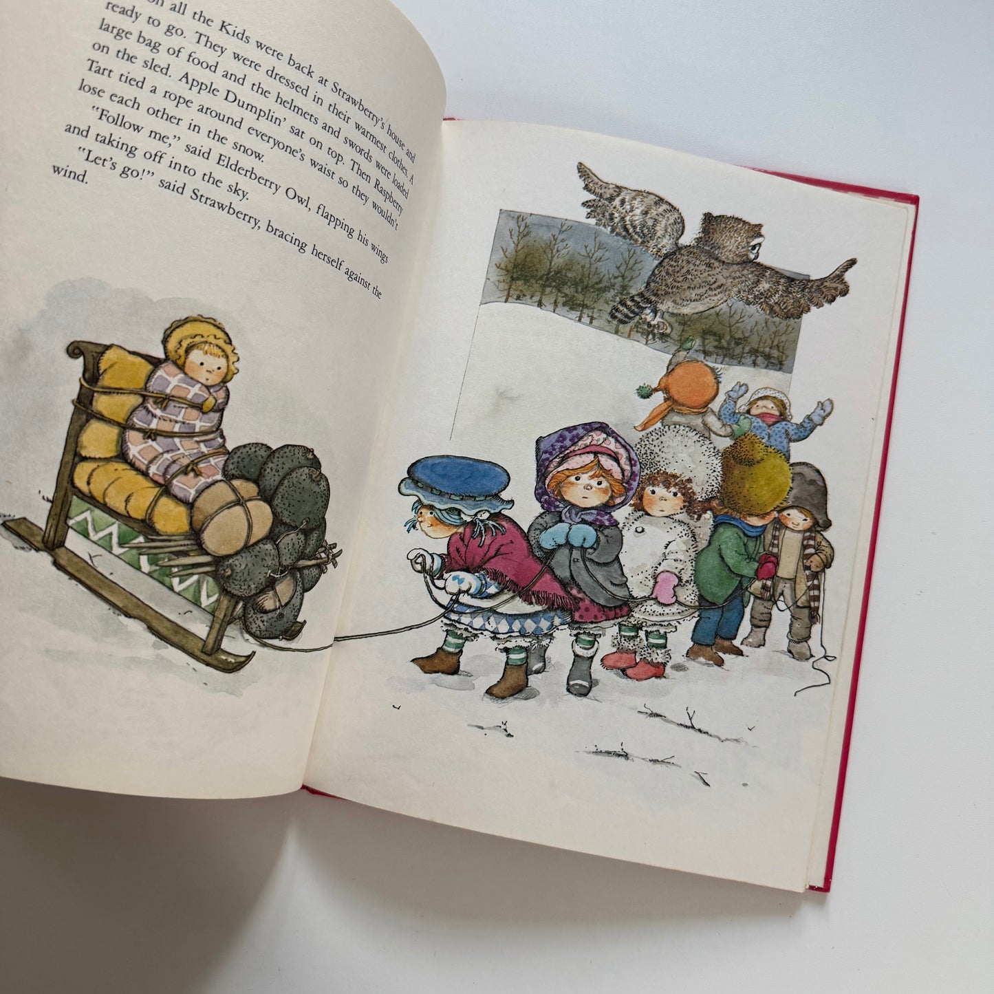 Vintage 1982 strawberry shortcake a4 book.