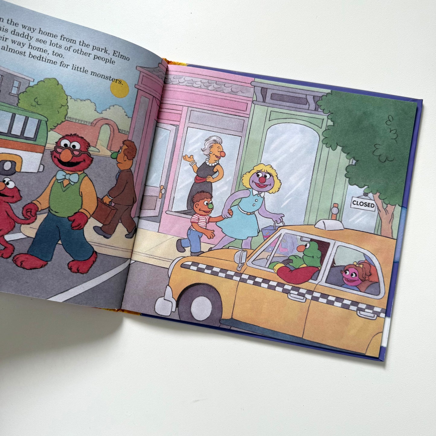 Sesame Street 2011 toddler book.