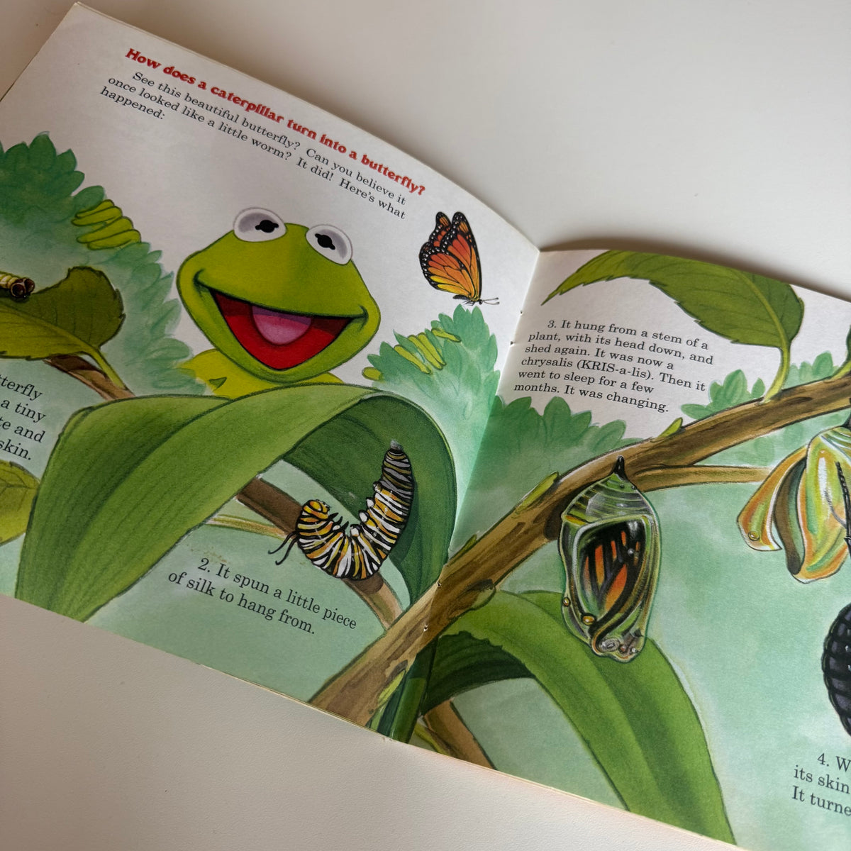 Vintage 1995 muppets book.