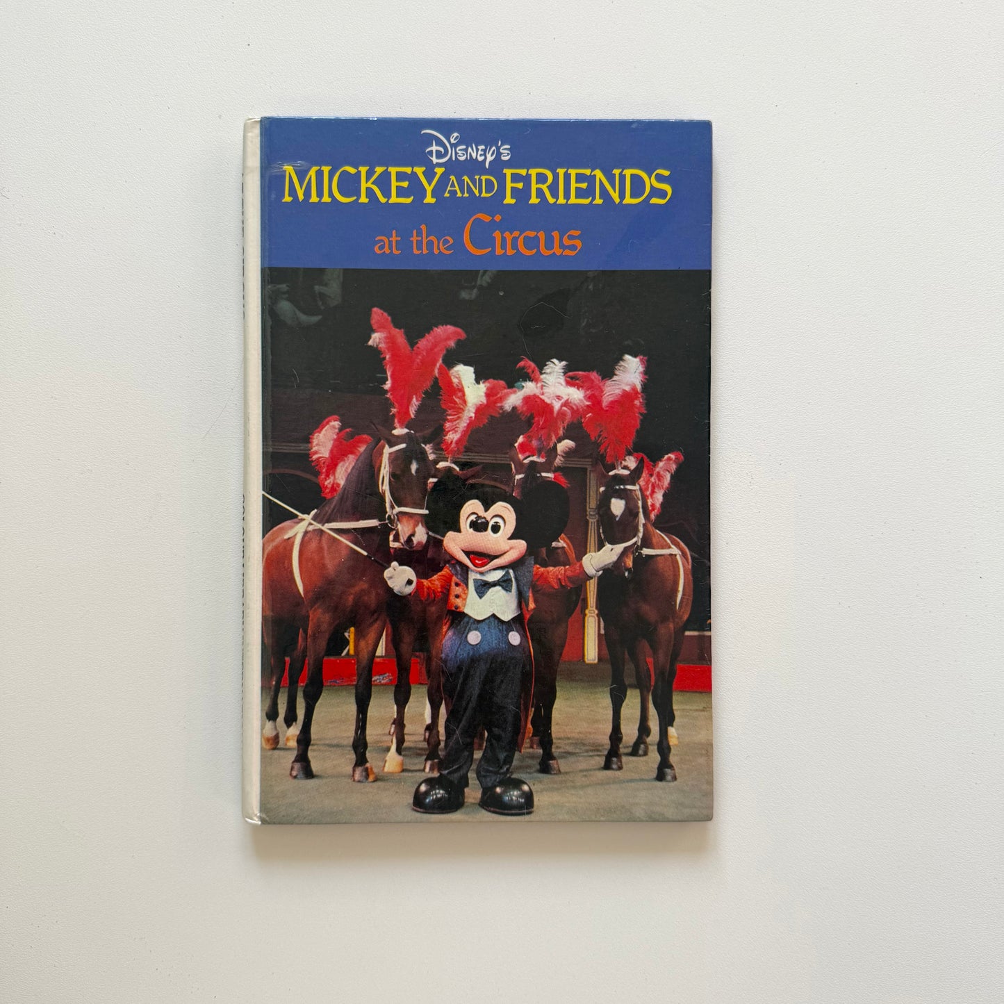 Vintage rare 1980 Walt Disney book