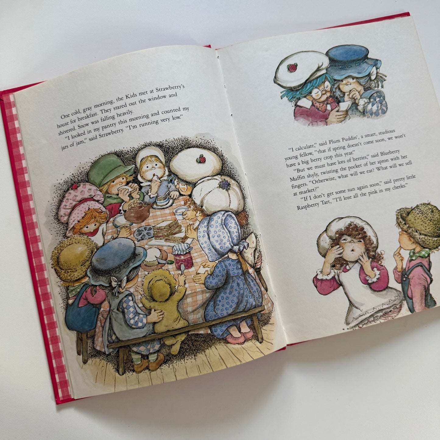 Vintage 1982 strawberry shortcake a4 book.