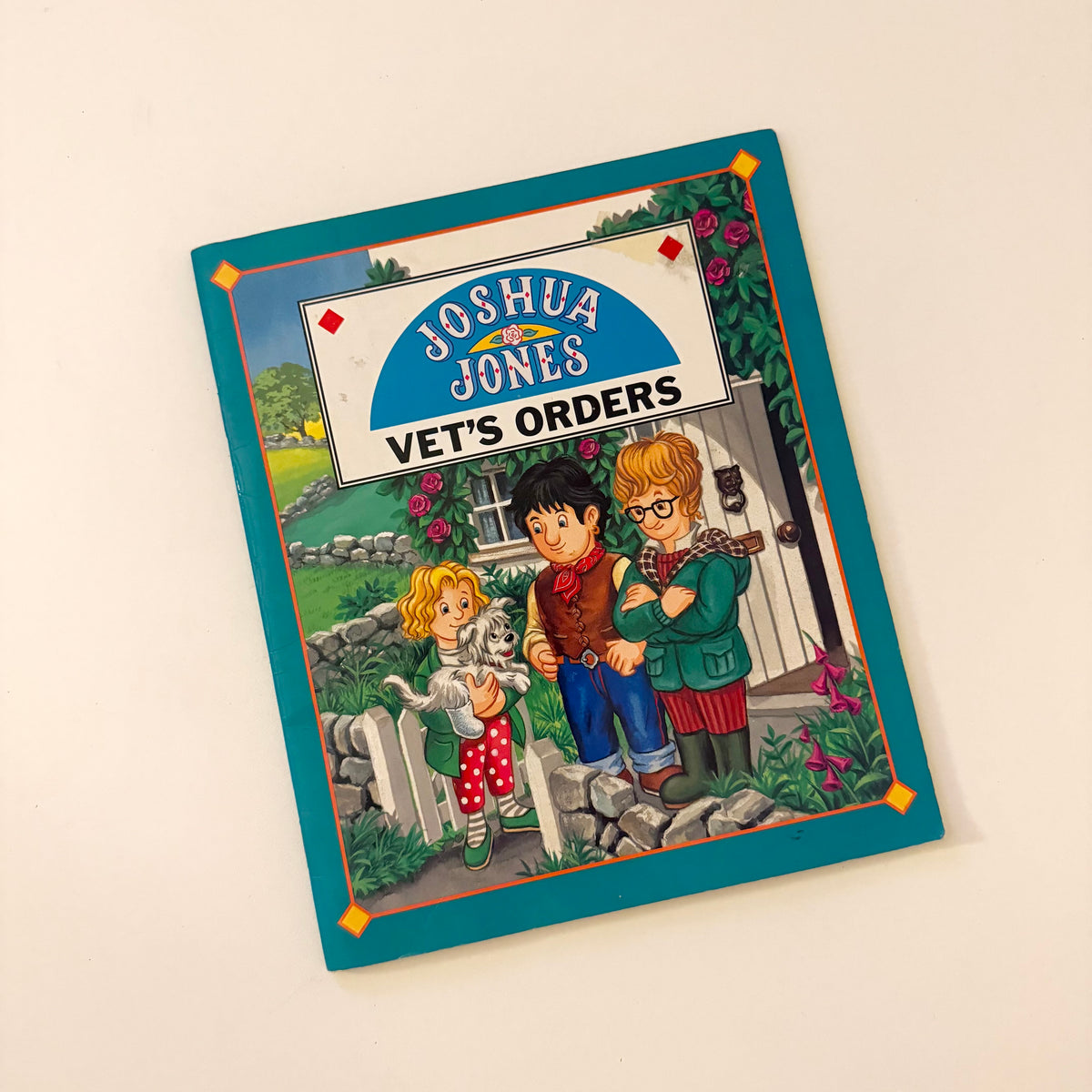 Vintage 1993 Joshua jones book.