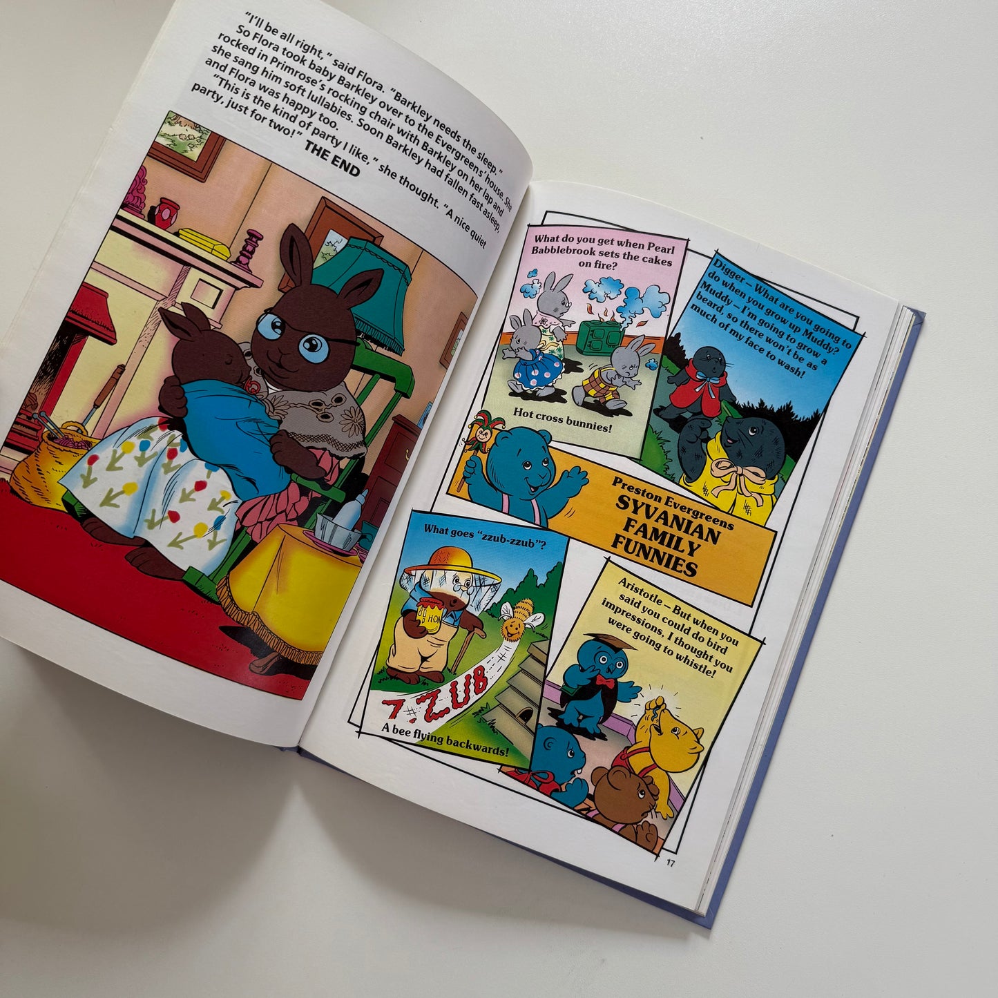 Vintage rare 1990 sylvanian families annual