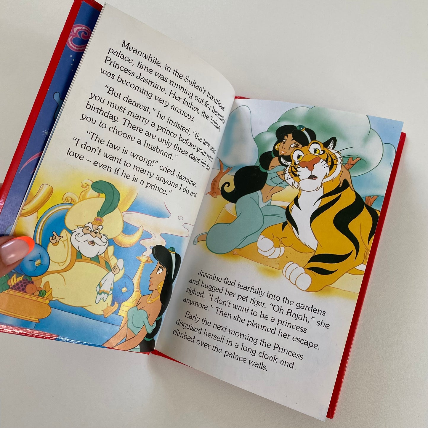 Vintage 1993 ladybird Aladdin book.