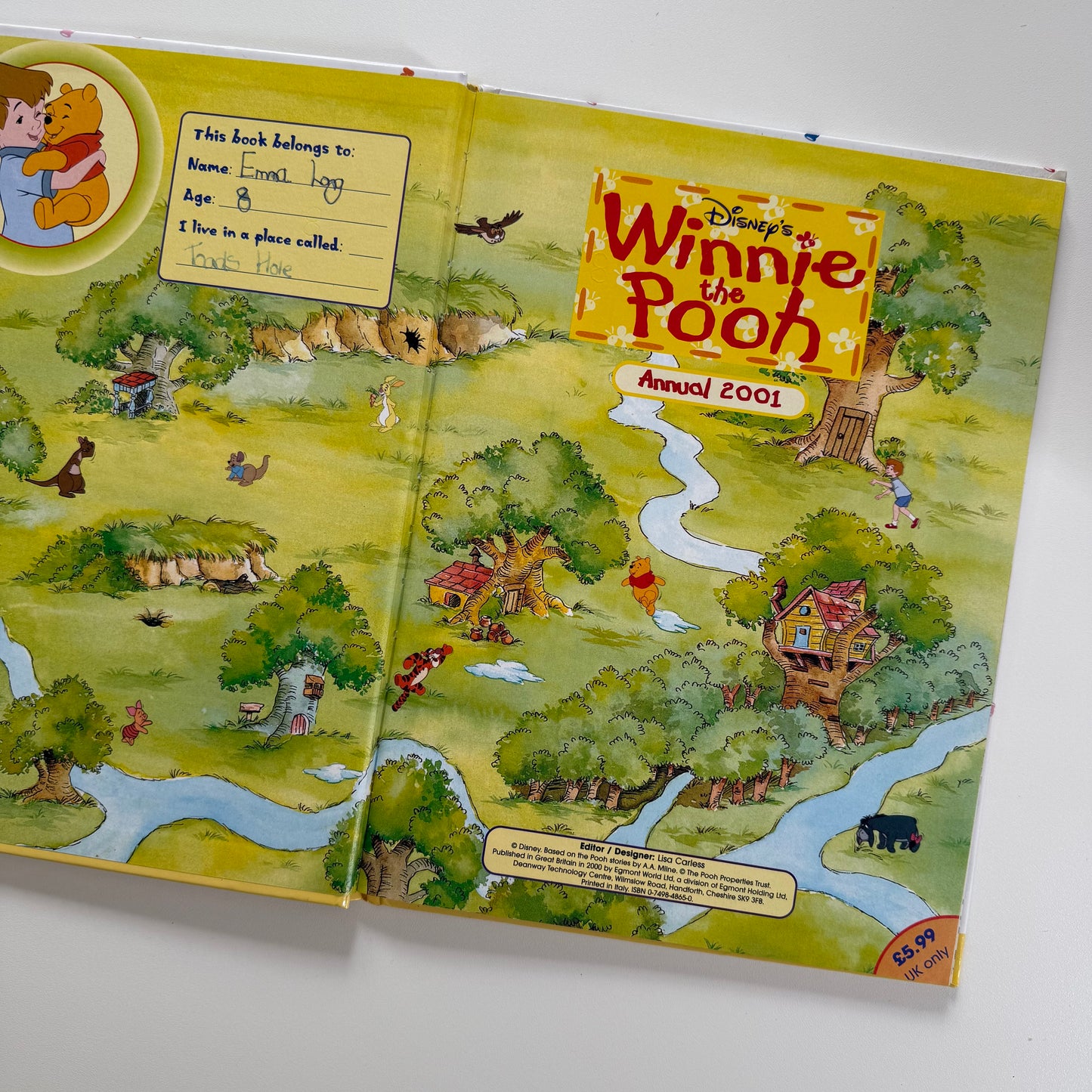 Vintage Winnie the Pooh annual 2001. Some light drawing