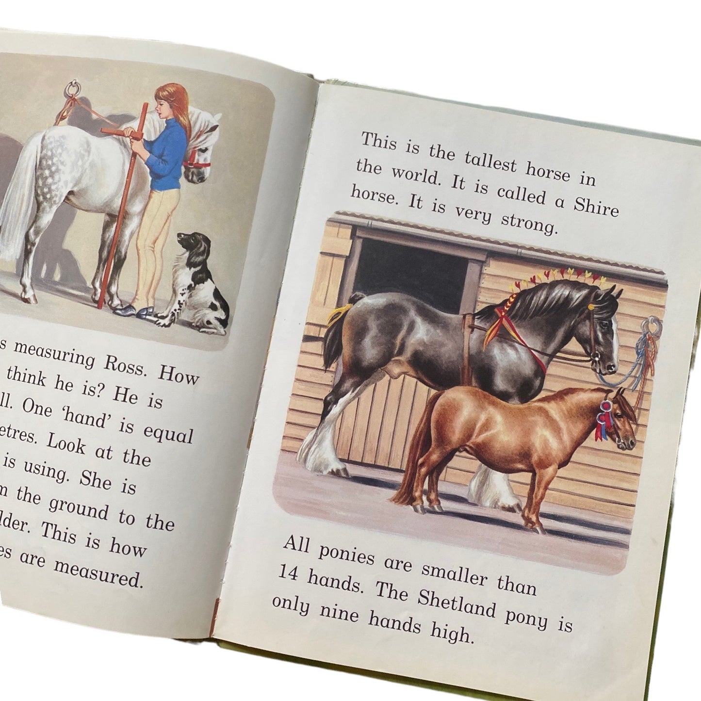 Vintage 1984 Horse and ponies hardback book
