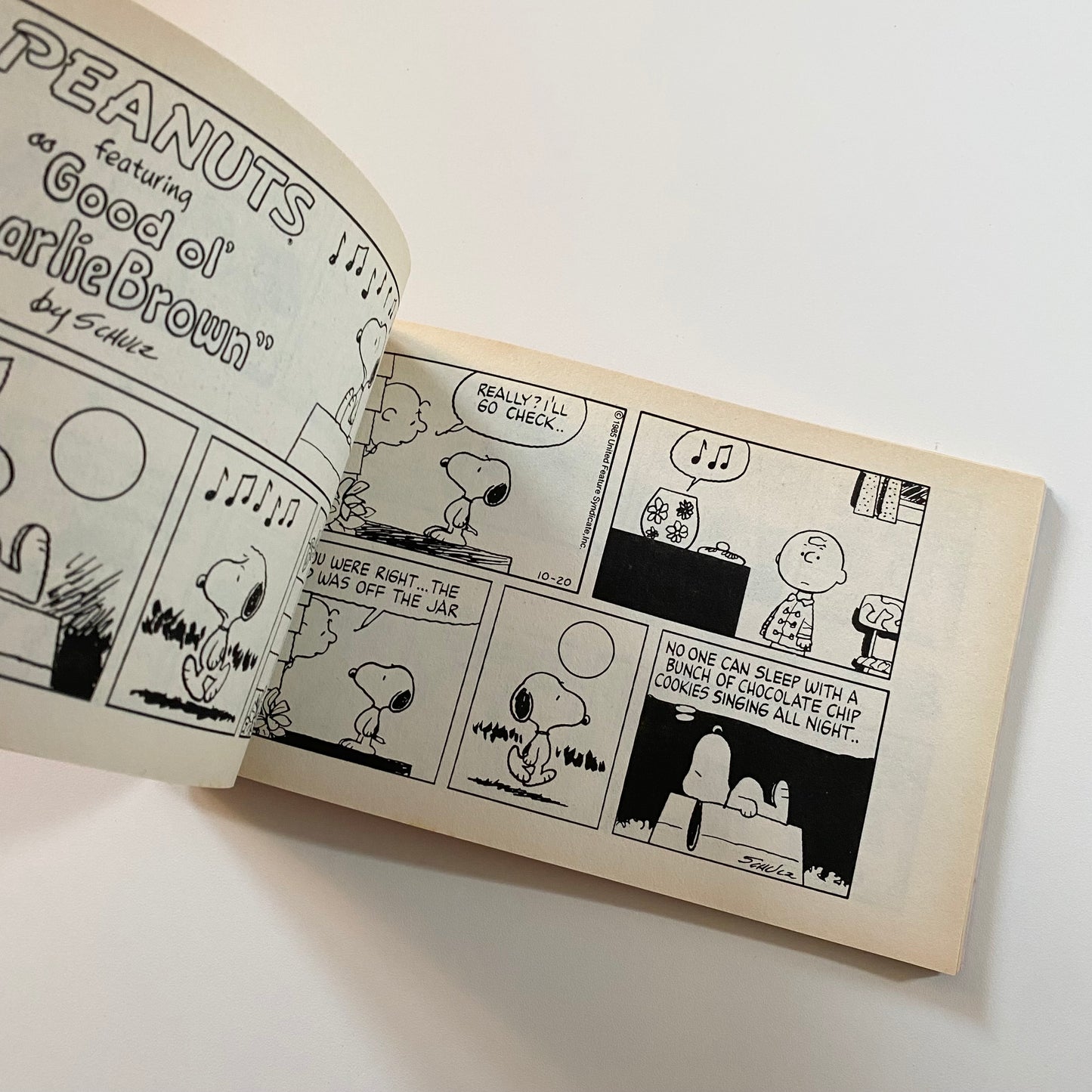 Vintage snoopy comic book.