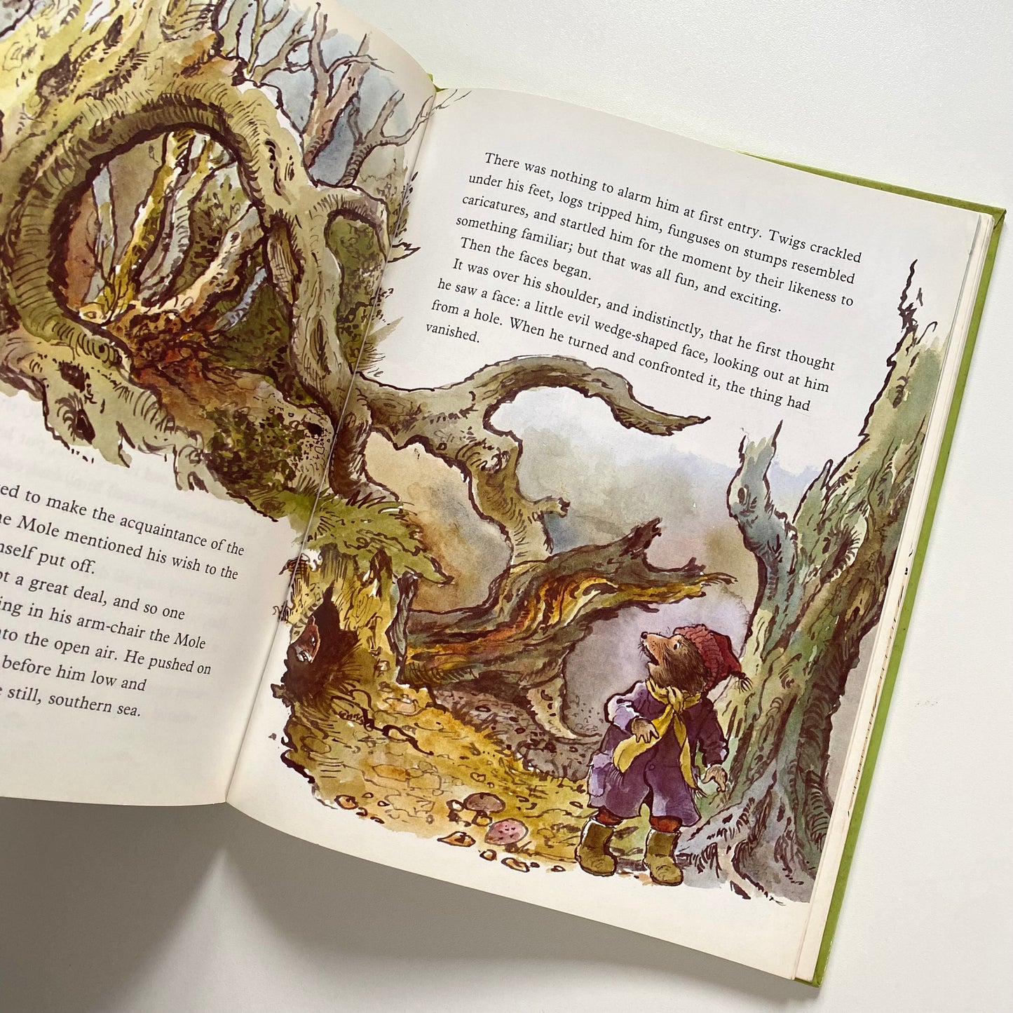 Vintage 1983 st Michael wind and the willows a4 book.