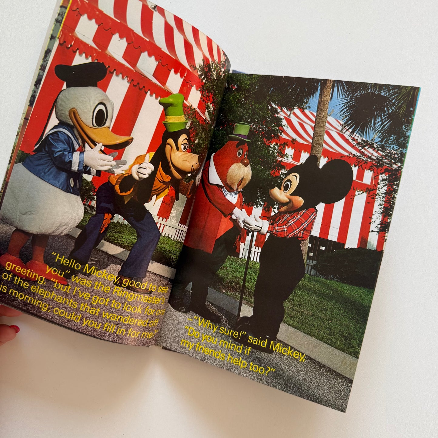 Vintage rare 1980 Walt Disney book