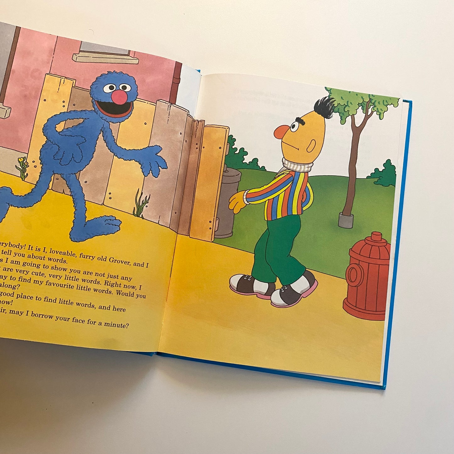 Vintage 1993 Sesame Street hardback book.