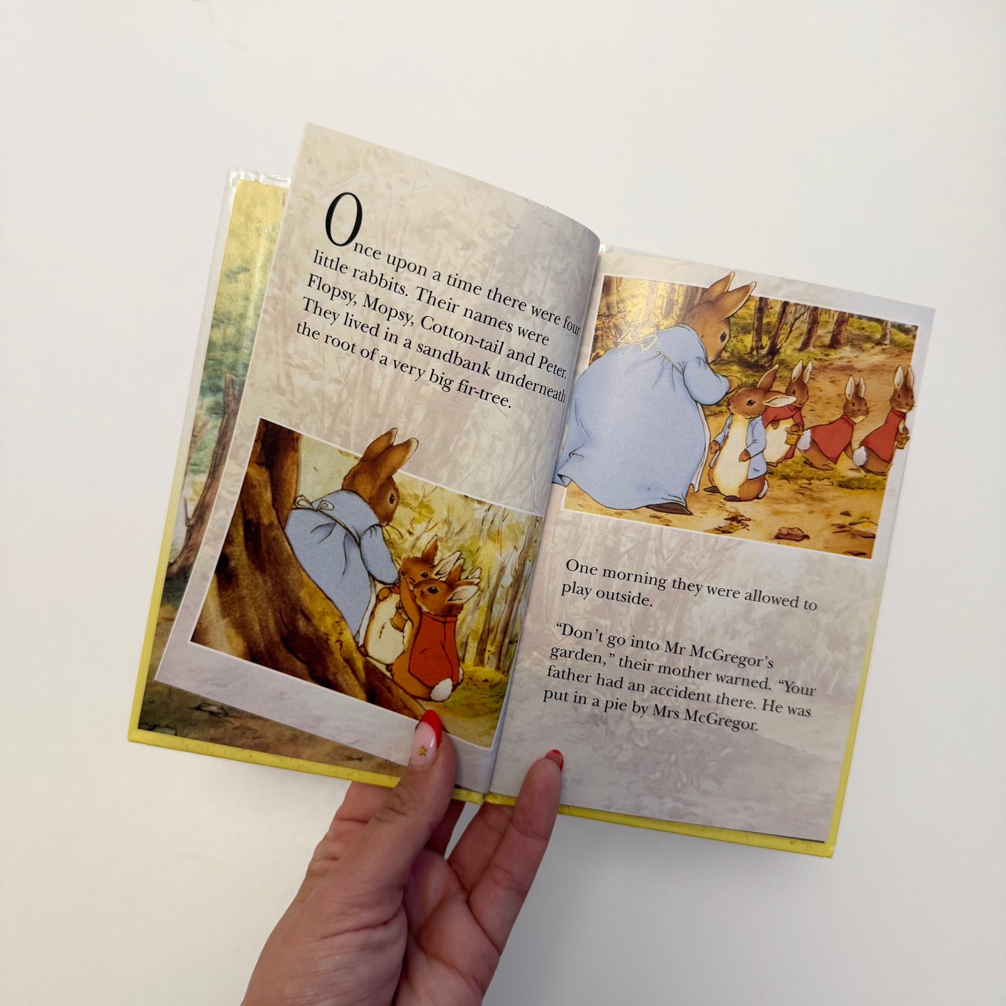 Vintage 1993 Peter rabbit book