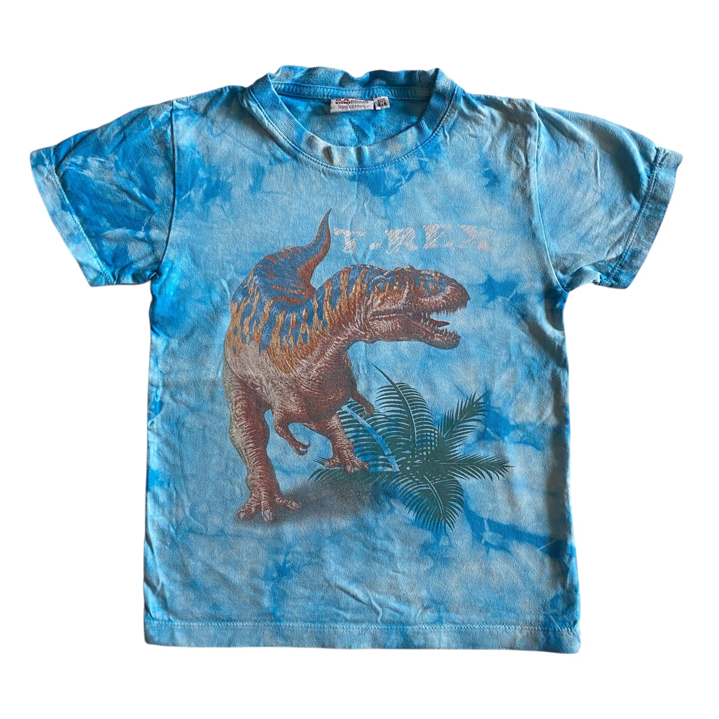 Vintage dinosaur tie dye tshirt. Size 4-6 years
