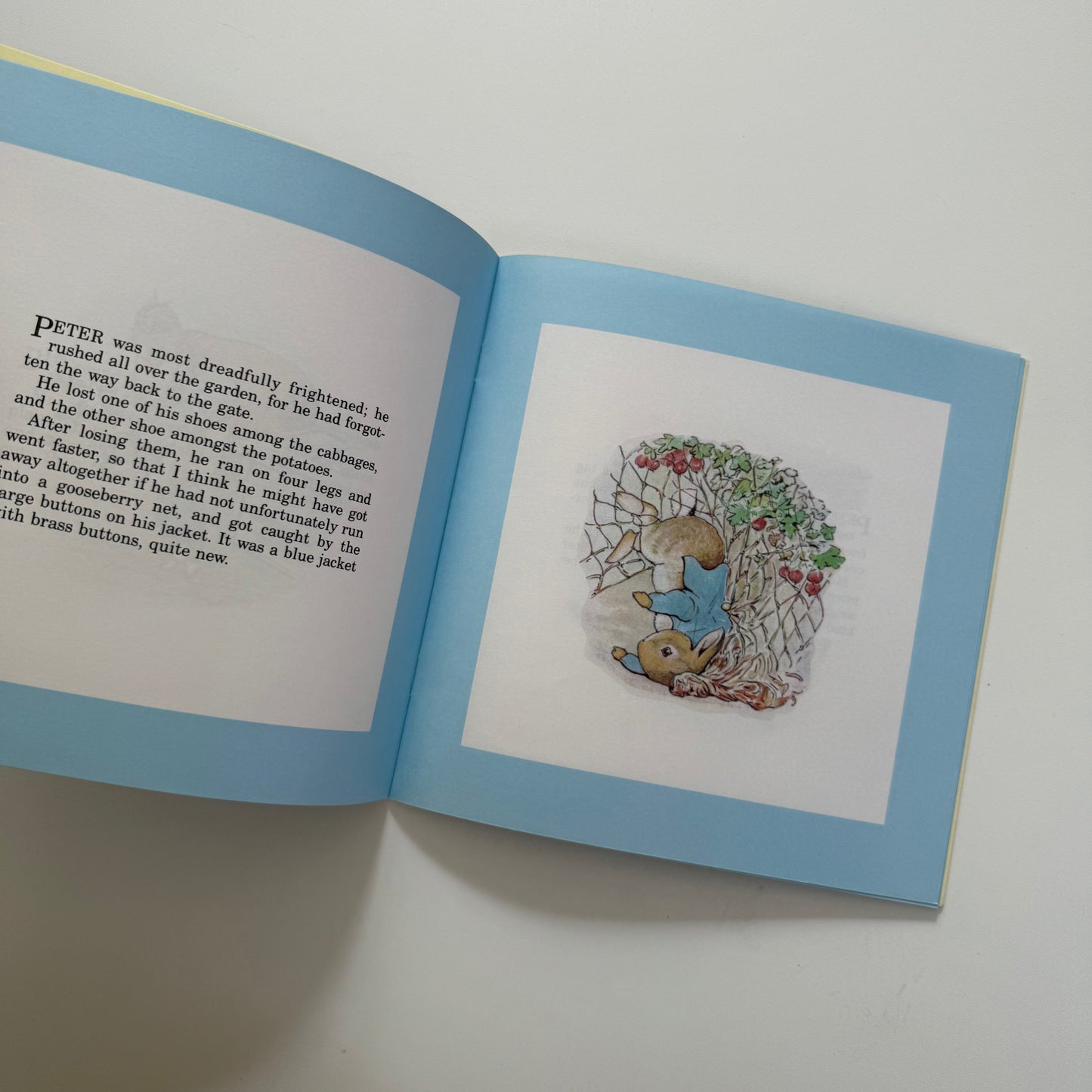 Vintage 1995 Peter rabbit story & sticker book