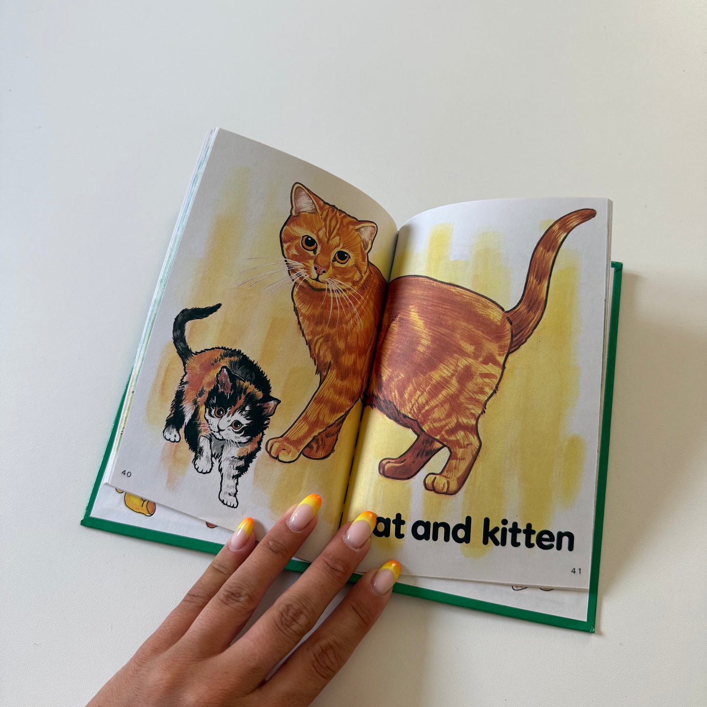 Vintage 1983 ladybird animals book