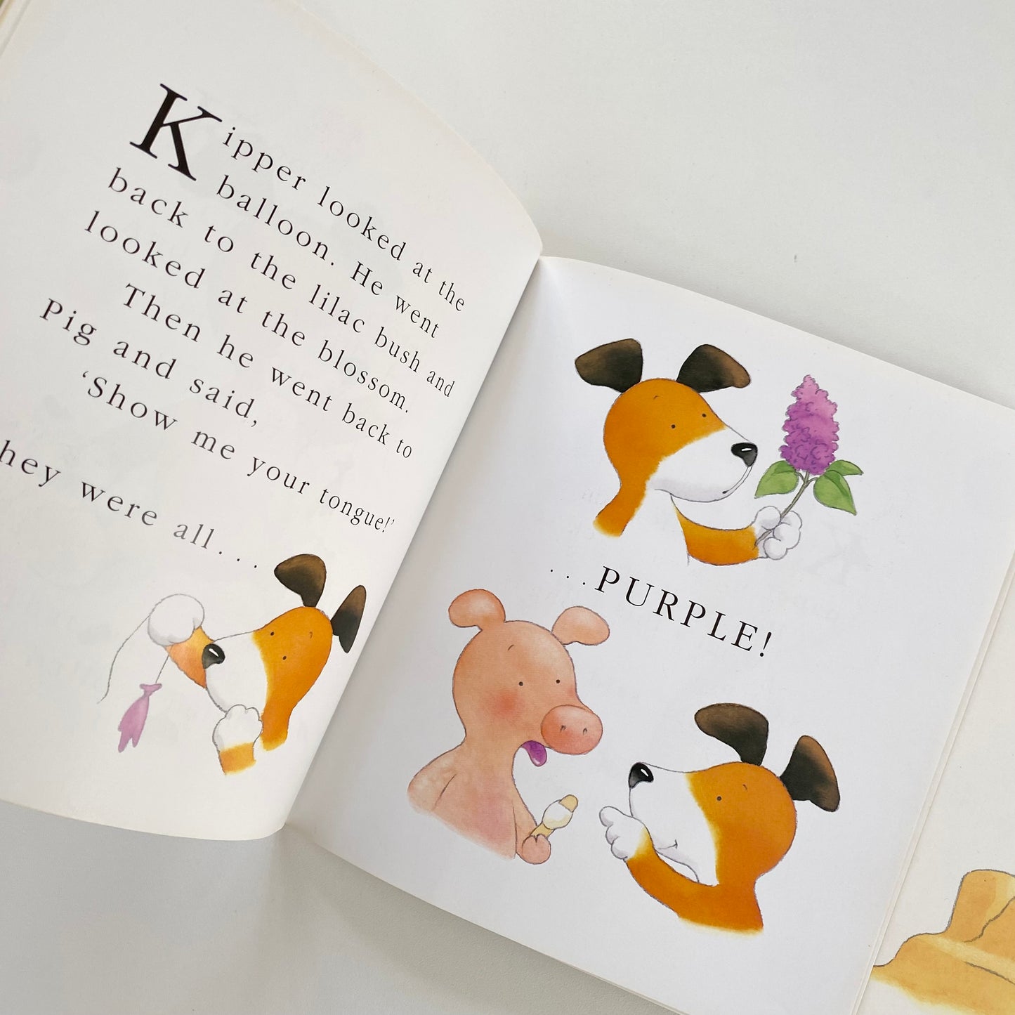 Set of two vintage 1998 kipper books