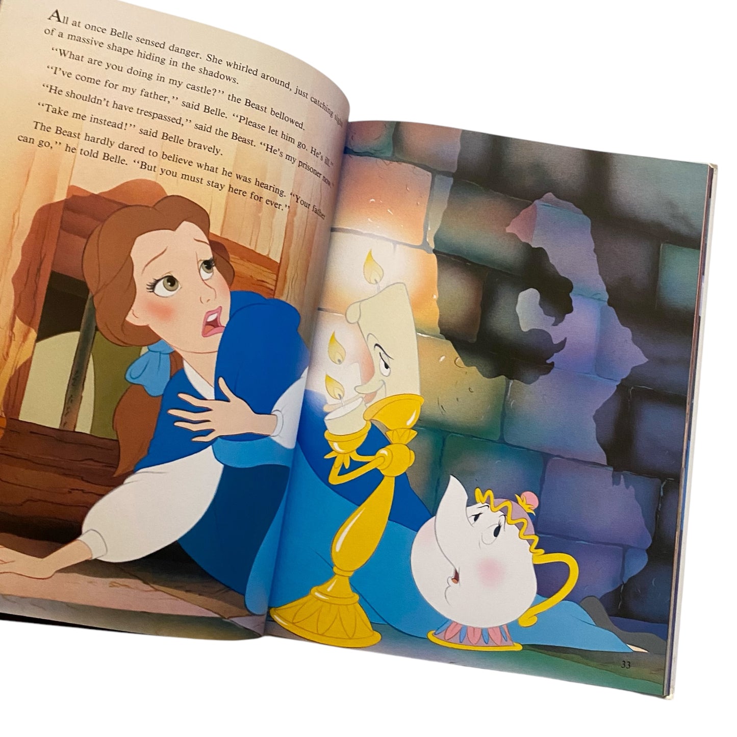 Vintage beauty and the beast a4 book