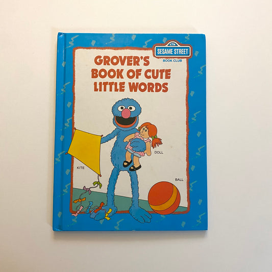 Vintage 1993 Sesame Street hardback book.