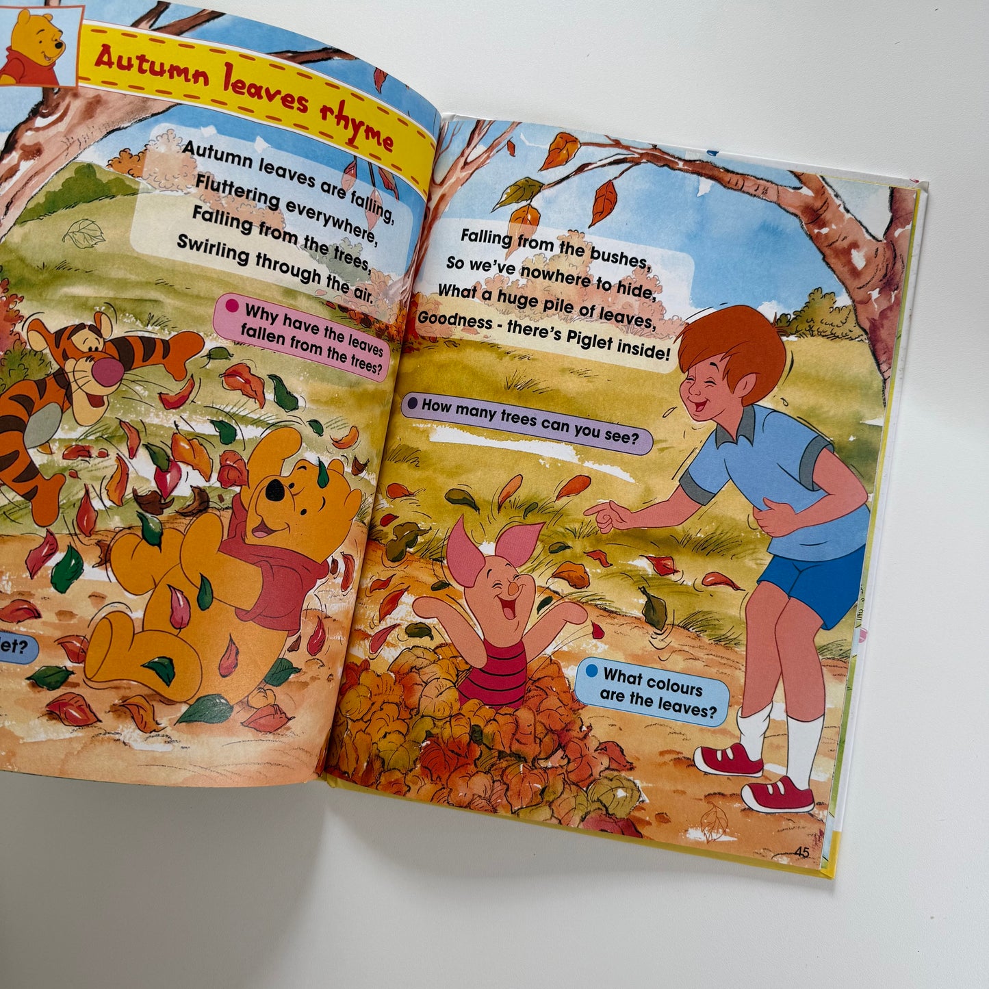 Vintage Winnie the Pooh annual 2001. Some light drawing