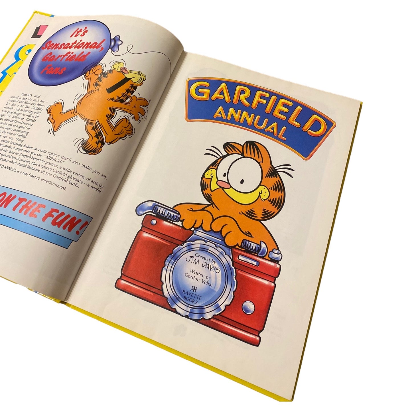 Vintage 1991 a4 hardback Garfield Annual